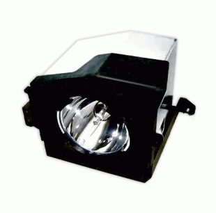 DLP LAMP